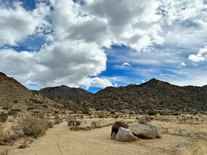 august vacation ideas view of mountains near Albuquerque New Mexico with white puffy clouds