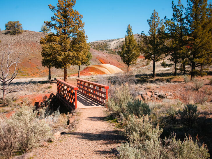 august vacation destinations in Bend Oregon view of hiking trail with bridge and trees