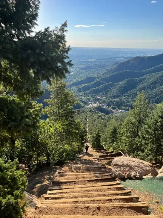 best hikes near Colorado Springs view of steep steps up mountain with trees