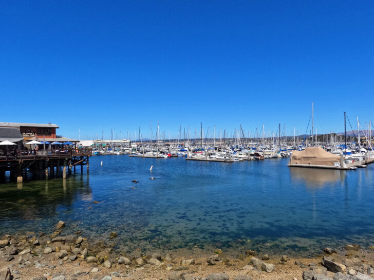 view of boats in harbor best august vacations for couples Monterey california