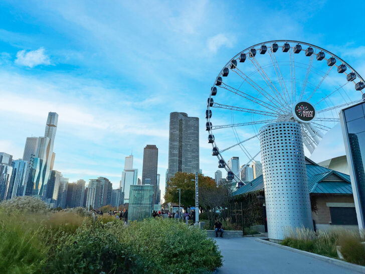 chicago skyline with giant ferris wheel in foreground and walking path with plants