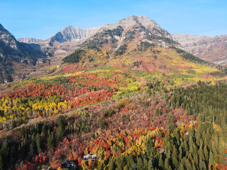 fall drives view of red green and yellow trees with mountain peaks in distance