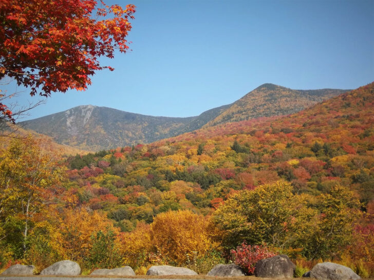 best fall drives in USA view of colorful hillside with red green and yellow trees