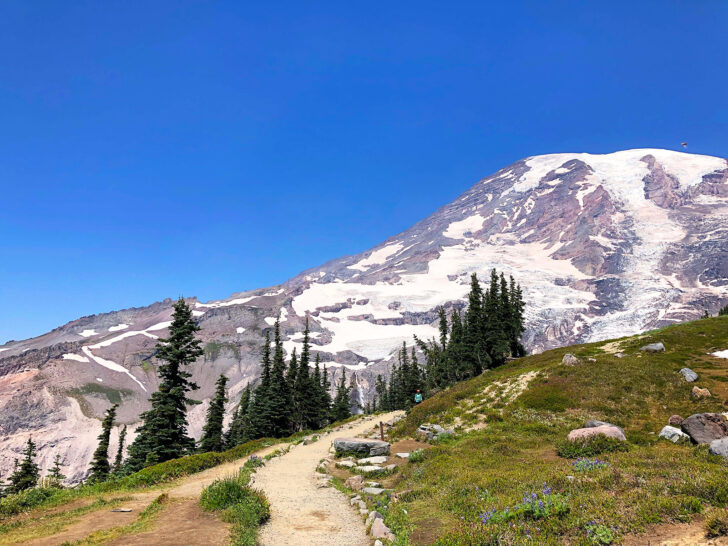 skyline trail mt rainier with view of mountain hiking trail and trees