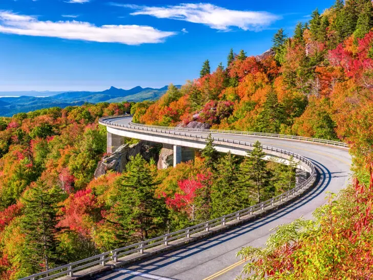 best fall drives in the US view of scenic road curved through red yellow orange and green trees with mountains in distance