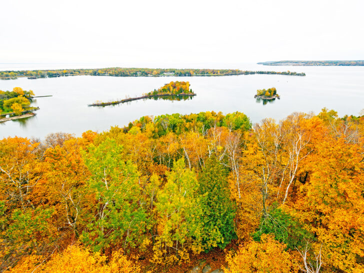 yellow and orange trees on lake during best driving route for fall foliage Wisconsin