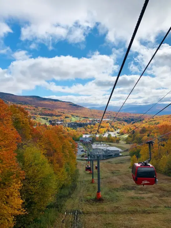 Vermont gondola and wires leading down hillside with red green and orange trees