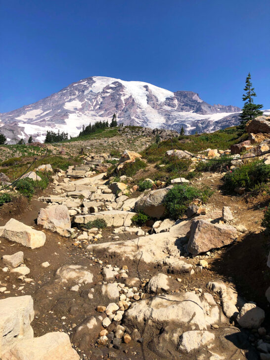 skyline trail mount rainier with boulder steps leading up mountain
