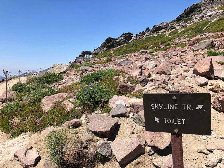 sign reading skyline tr and toilet with rocky mountainside