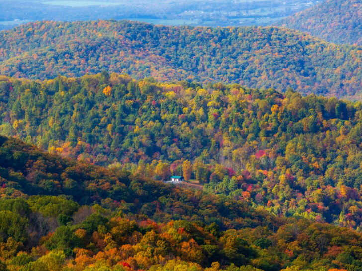 best fall foliage in US view of rolling hills of green yellow and red trees