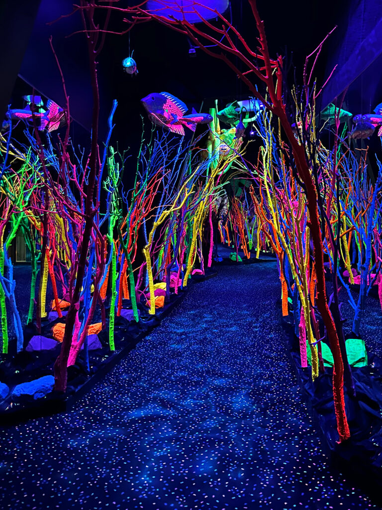 vibrant colorful trees in dark room with walking path