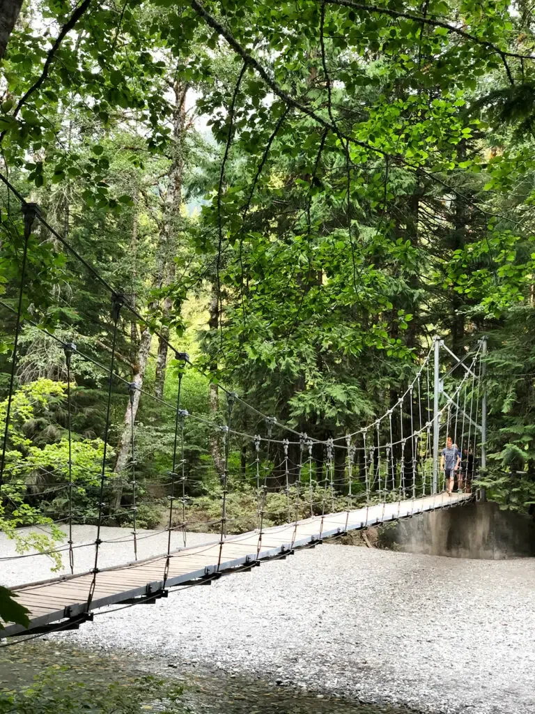 bridge over stream with trees surrounding while hiking mount rainier