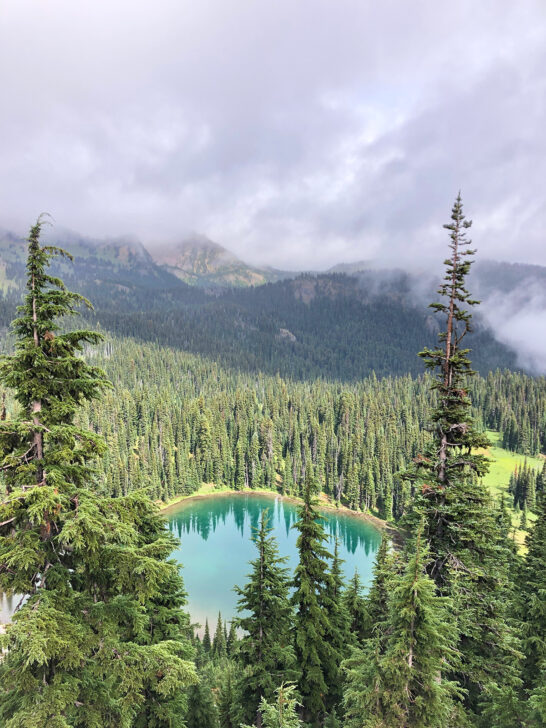 mt rainier hikes view of small lake through forest with mountains and low clouds