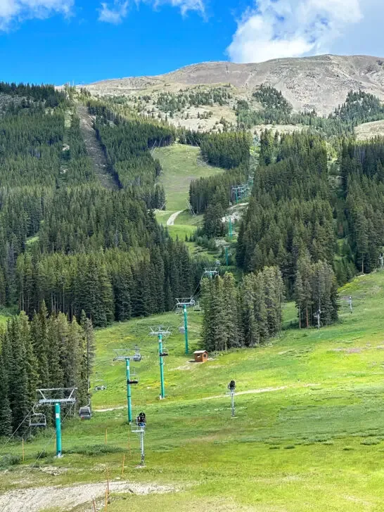 things to do in Banff summer view of chair lift between trees going up mountain