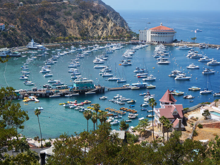 best states to visit in November view of California harbor with boats in bay