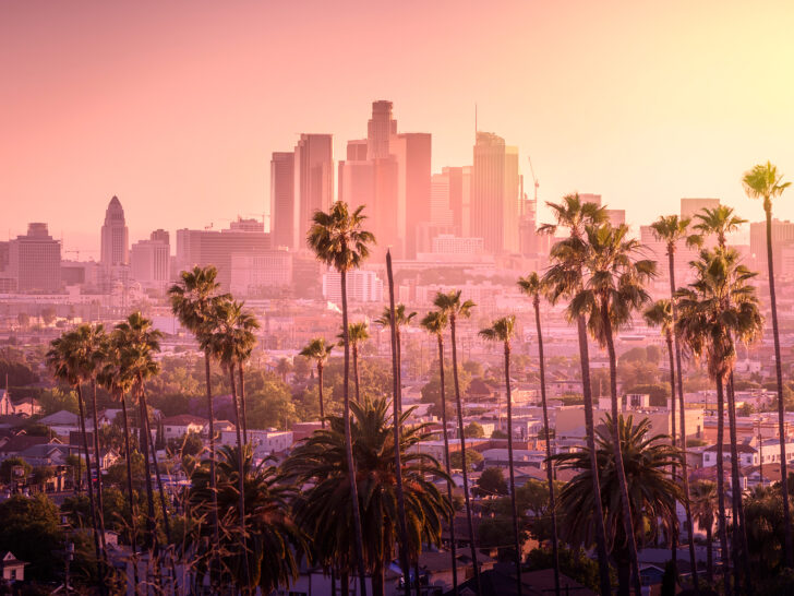 palm trees and city skyline in Los Angeles CA