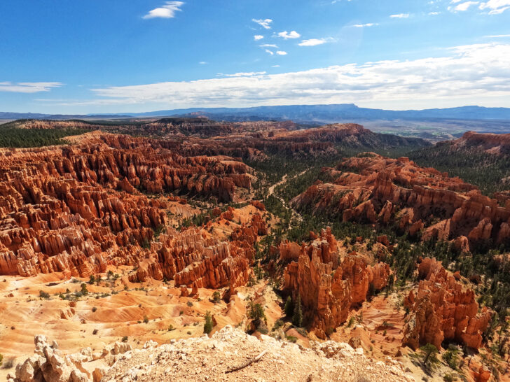 view of orange rocky spires in canyon utah