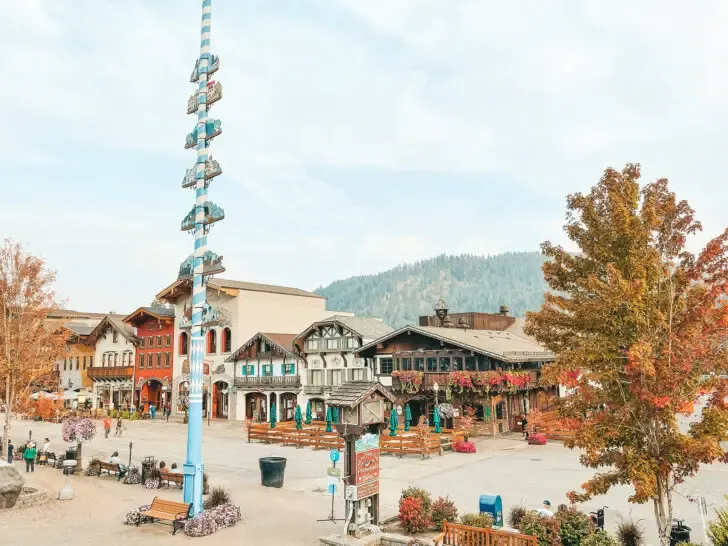 downtown with cute shops and trees turning brown for fall