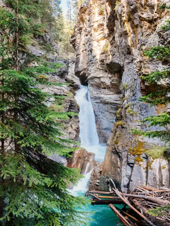 Canadian Rockies itinerary waterfall in deep canyon with rocks and tree