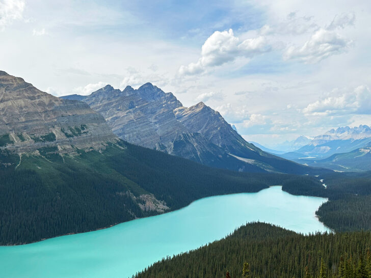 Banff to Jasper drive view of Peyto Lake with Canadian Rockies and bright teal water