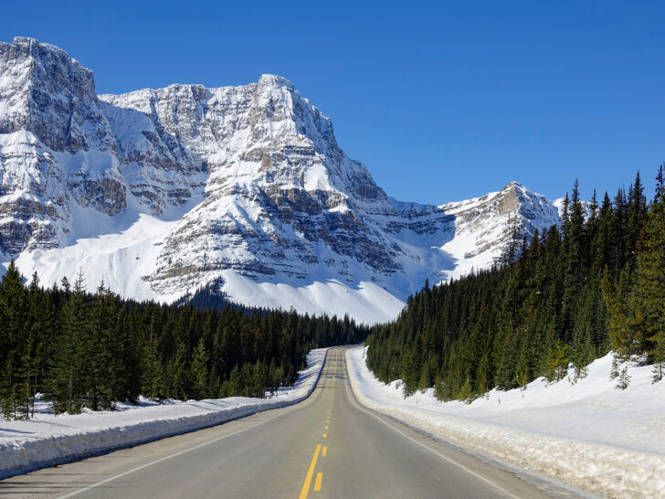 Banff to Jasper Canada during winter with clear road snow pile beside and white mountains