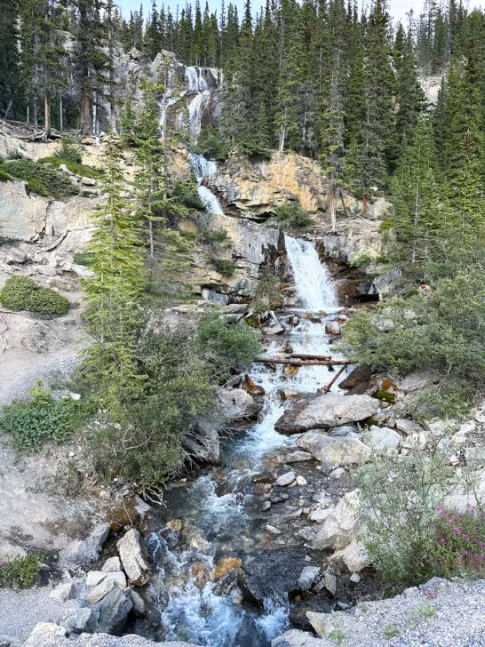 Banff to Jasper drive waterfall with trees