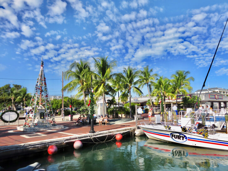 warm places to go in the winter view of boats at dock with palm trees and Christmas tree
