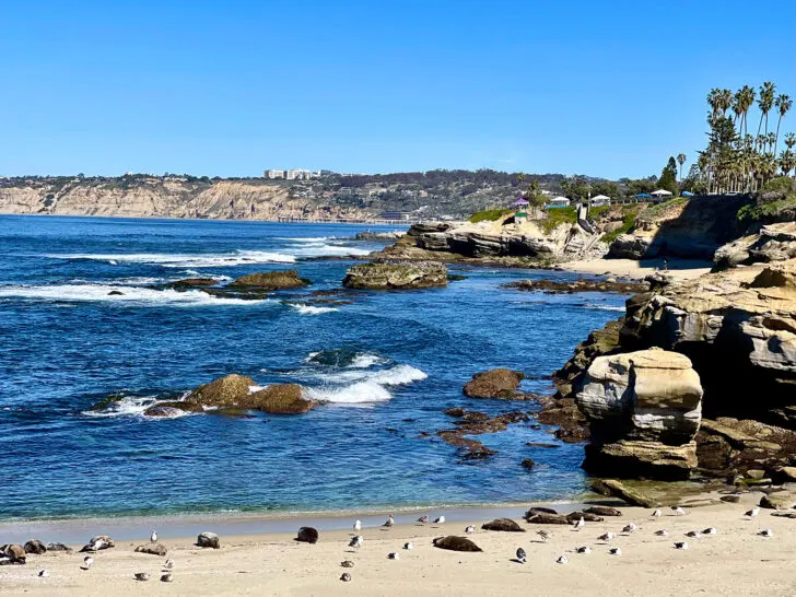 warm winter destinations view of beach with birds and rocks in San Diego