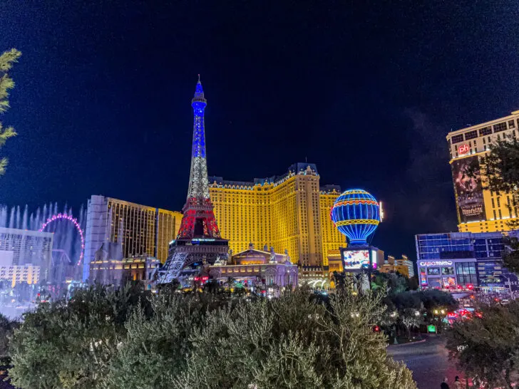 Las Vegas strip lit up at night with bush in foreground