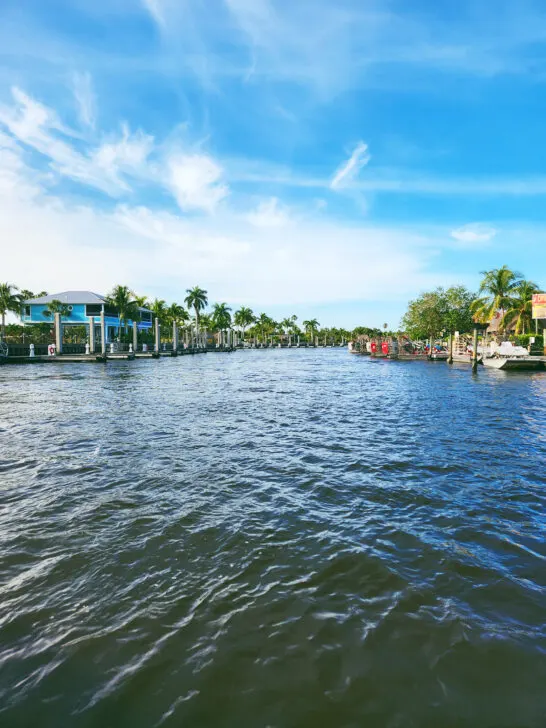 warm winter destinations view of river with buildings and palm trees in distance in Florida