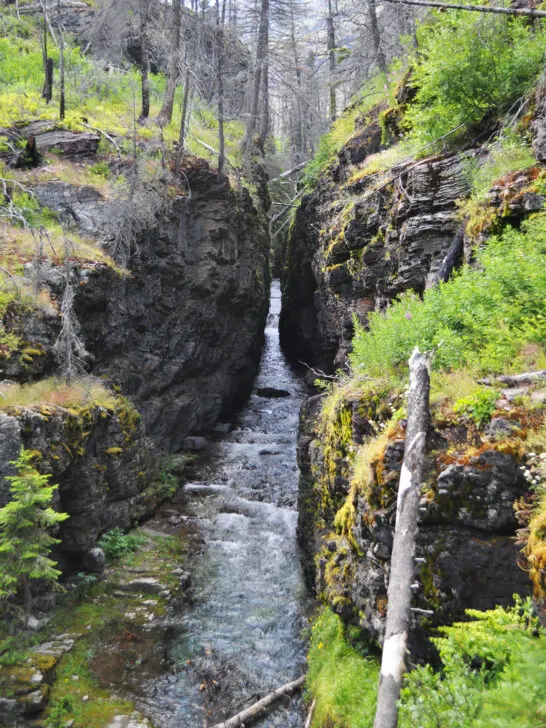 water running through narrow rock channel with greenery