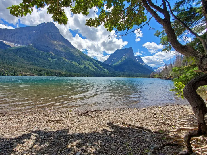 things to do in Glacier National Park with rocky beach with tree and mountains in distance