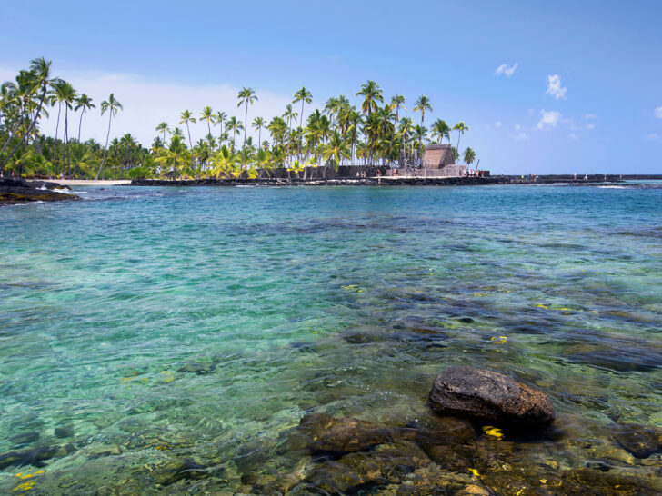 warm places to go in the winter view of blue water with rocks and palm trees along shore