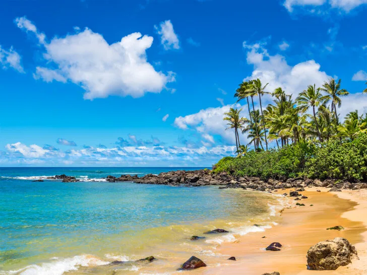 warm winter vacations in the US view of hawaii beach with tan sand rocky coastline and palm trees