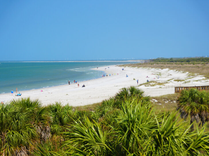 white sand beach in Florida with green foliage blue water on sunny day