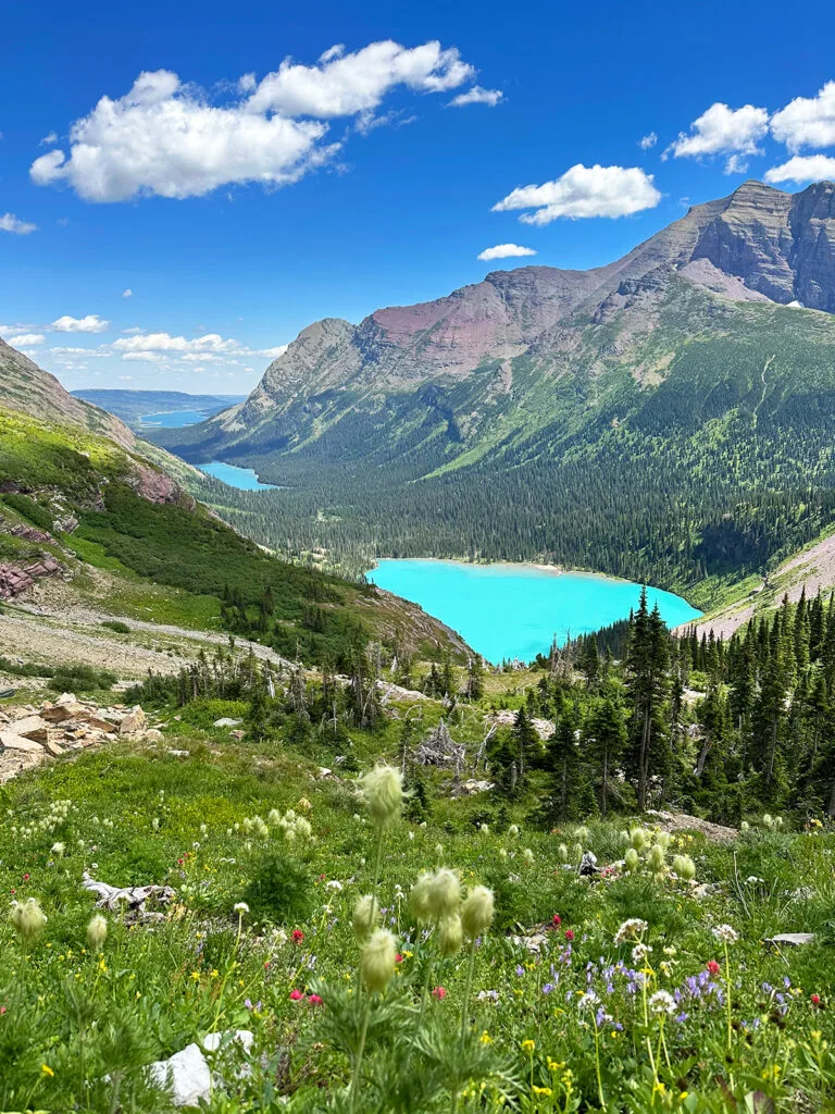 teal mountain lakes with flowers and trees and beautiful mountains