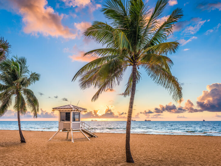 view of lifeguard stand and palm trees on beach at sunset in Florida