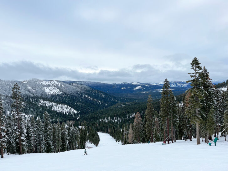 skiing in Lake Tahoe down hill through trees view of best road trips in the winter
