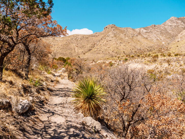 dirt hiking path through mountains with desert scene best national parks to visit in March