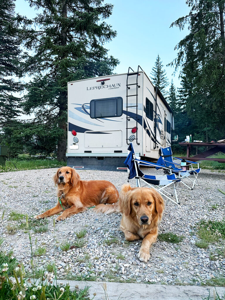 camping with dogs with two dogs and two camping chairs at campground with motorhome in distance