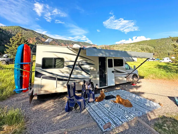 camper tips and tricks view of exterior of camper with kayaks, chairs, dogs laying on an outdoor rug