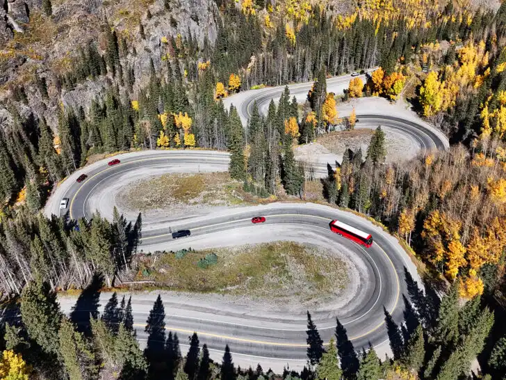 cars and bus on a curvy road with yellow and green trees