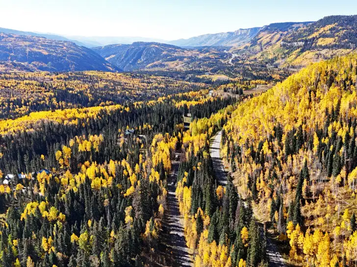 bright yellow and green trees in the San Juan scenic byway